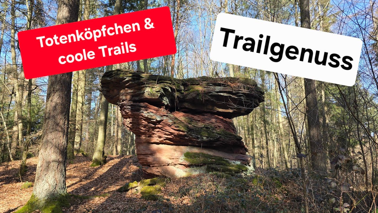 Schnelle Trailrunde um Hochspeyer