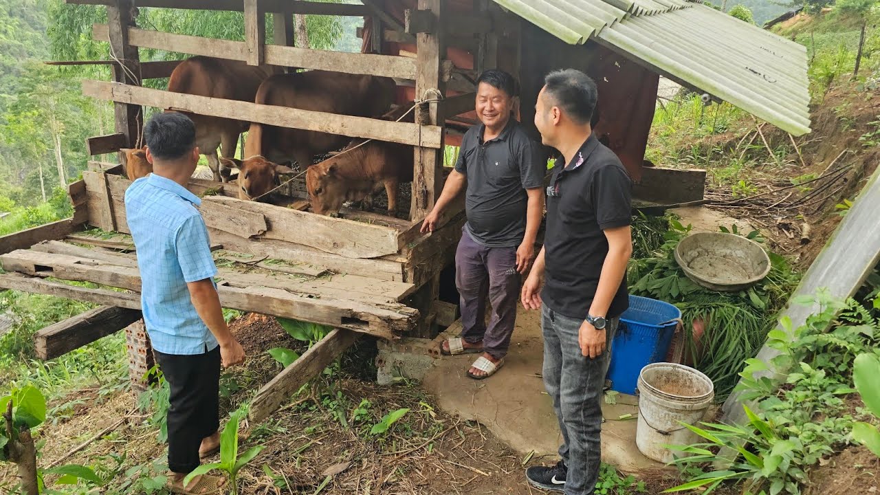 Sự béo đồi thông Lũng Cáng mời món Kinh điển không dám gắp. Nguyễn Tất Thắng