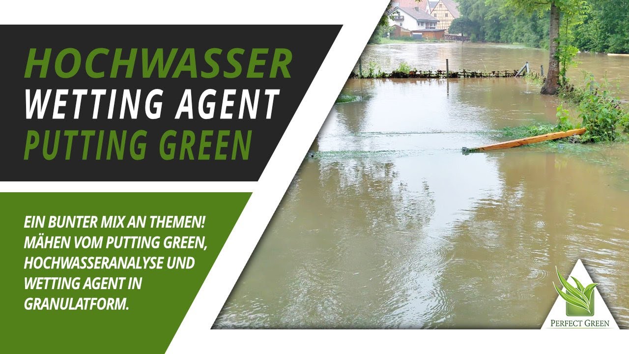 🌱 Hochwasser auf Testfläche | Wetting Agent Granulat | Entwicklung Putting Green  🌱