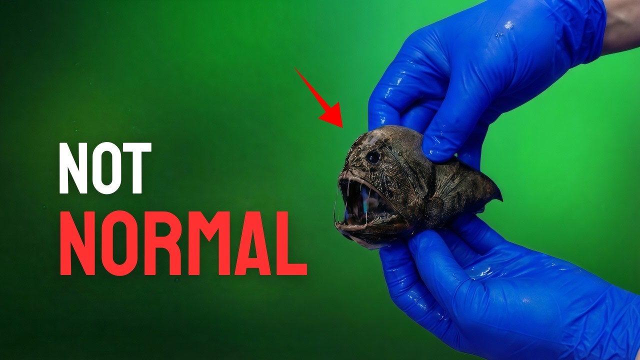 The Deepest Places on Earth We`ve Never Seen!