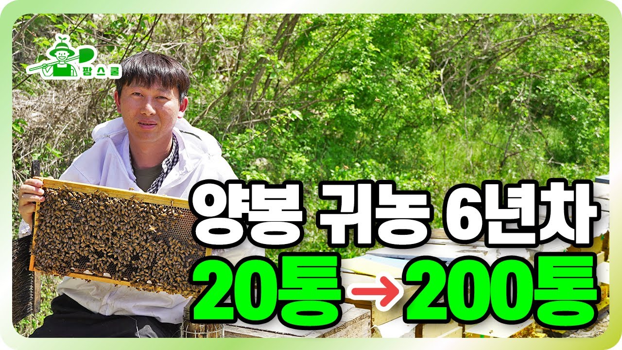 20통👉200통으로 번식한 노하우 ㅣ 양봉하는 청년창업농 ㅣ 로열젤리, 프로폴리스는 면역에 최고!!