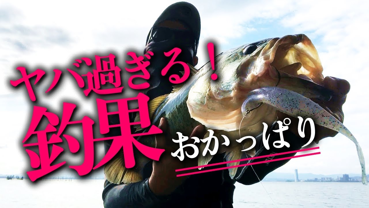 サカマタシャッド 8インチがヤバ過ぎる使い方！【バス釣り おかっぱり 琵琶湖】