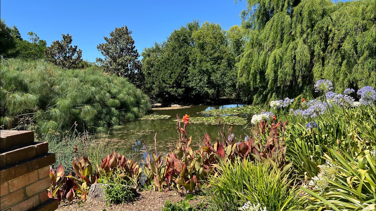 Hunter Valley Gardens | Day and Night | NSW Australia