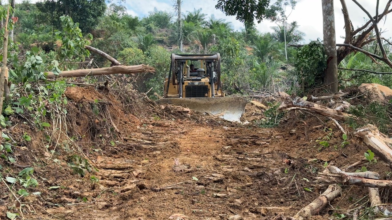 The Excellence of the D6R XL Bulldozer Clearing the Way in Difficult Terrain