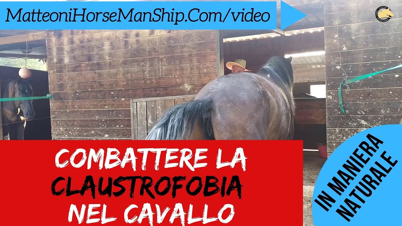 Come aiutare un cavallo Claustrofobico - parte 1