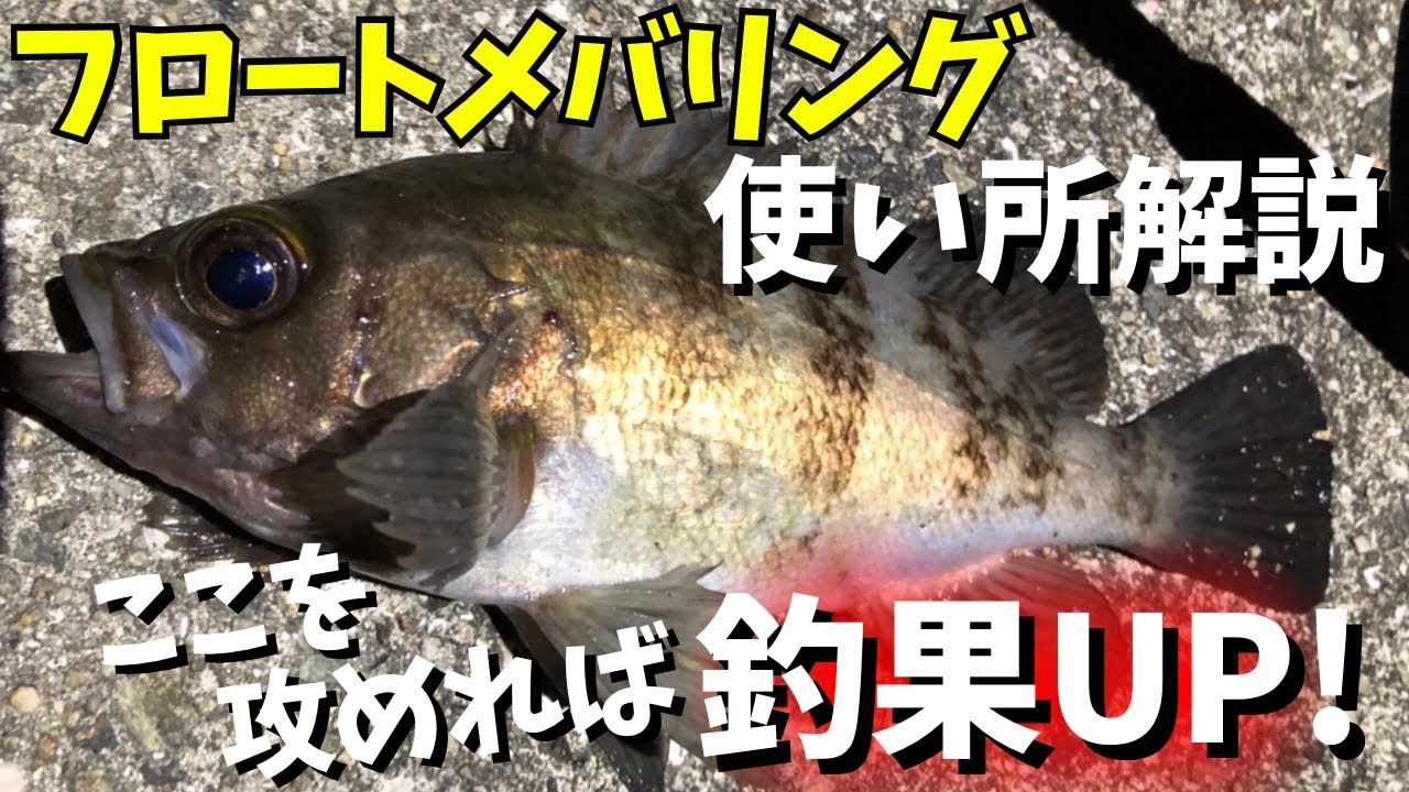 メバリングフロート活用術！！これを見れば必ずメバルが潜むポイントがわかります！