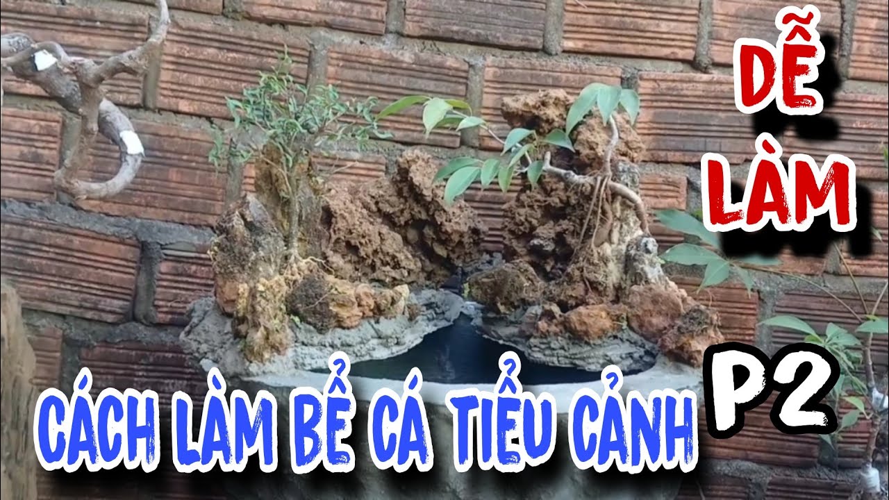Cách làm chậu cá tiểu cảnh đơn giản dễ làm tại nhà