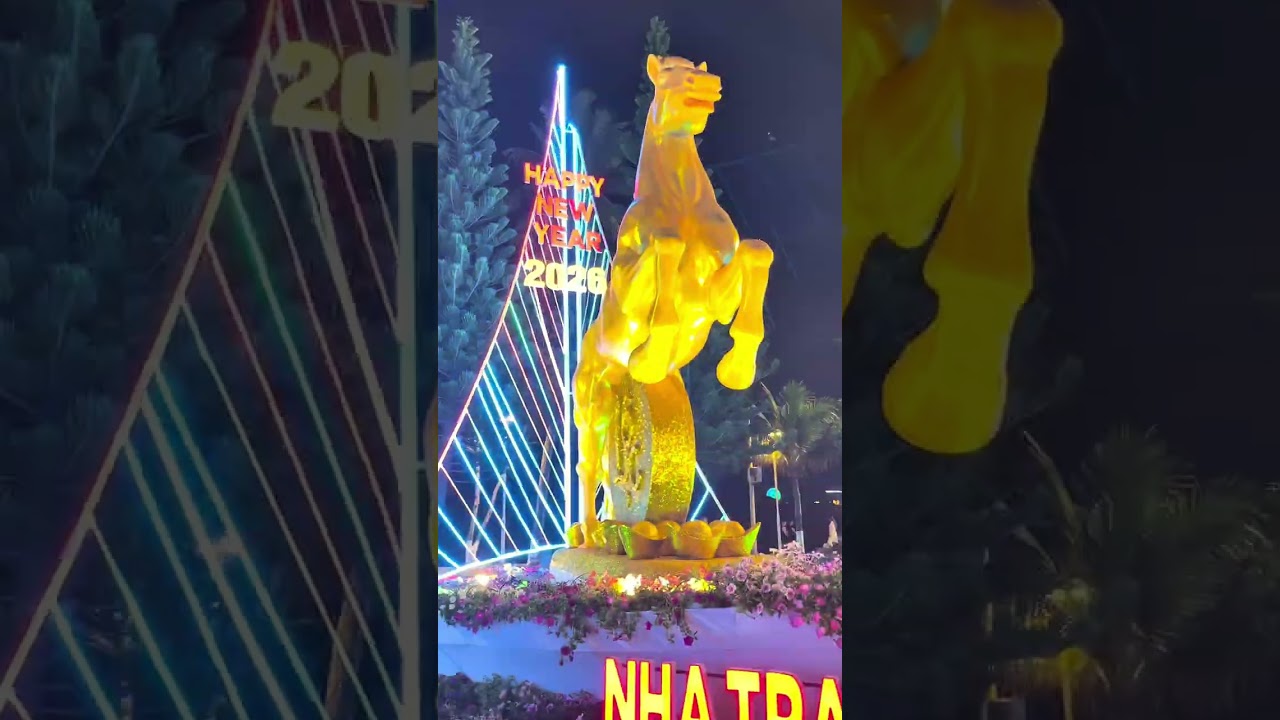 Thi công hội hoa xuân , chào xuân 2026 tại Tp Nha Trang xinh đẹp