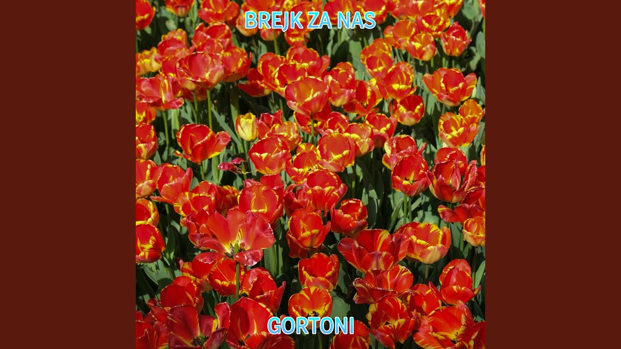 Brejk Za Nas