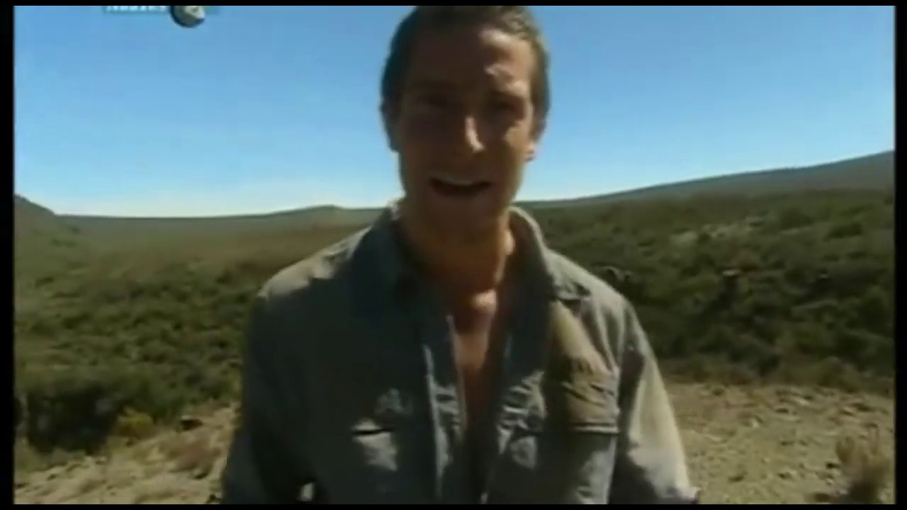Bear Grylls impara ad affilare i gatti