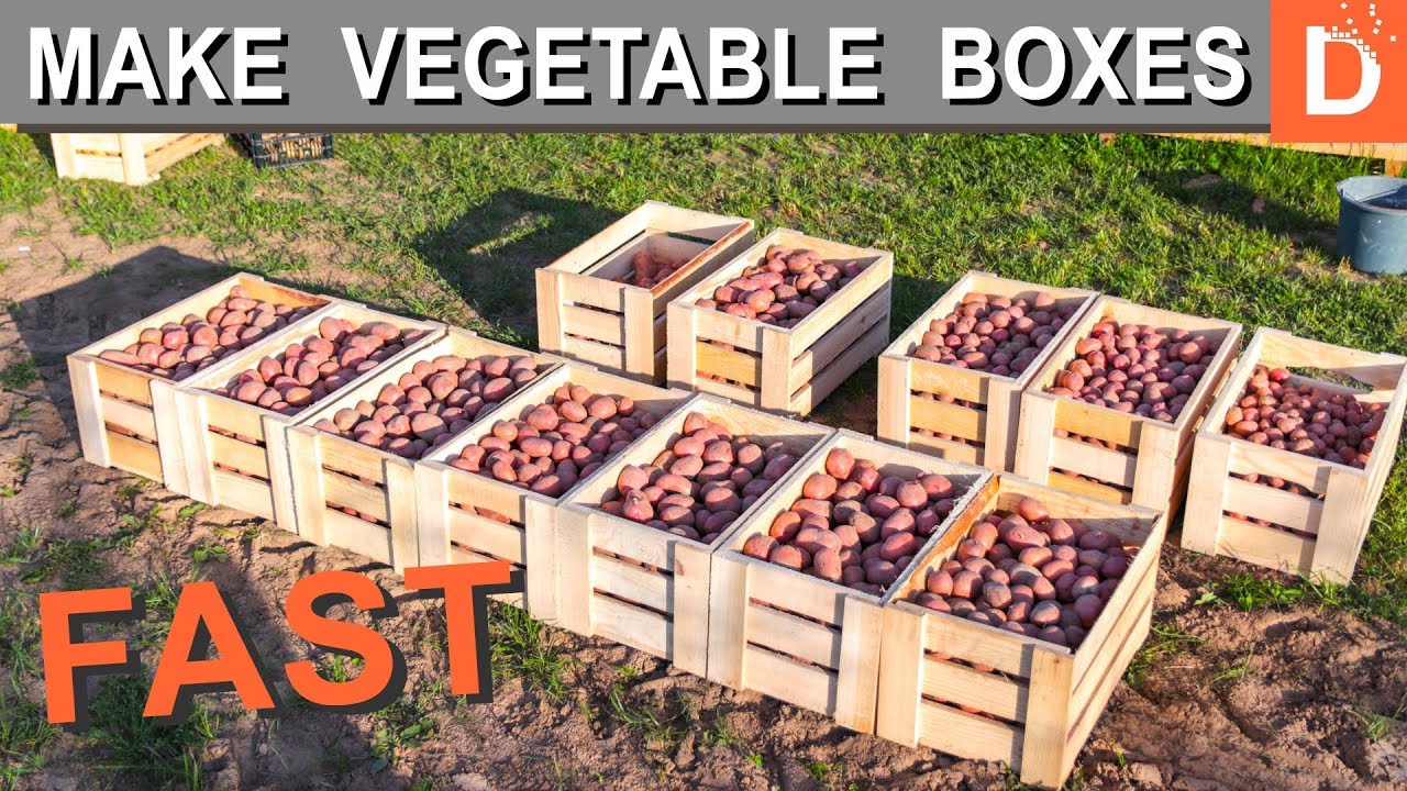 How to make Vegetable Boxes quickly