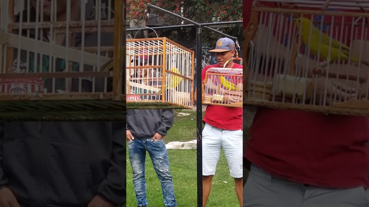 EL CASIQUE