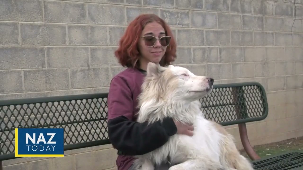 Pet Of The Week- Cullin