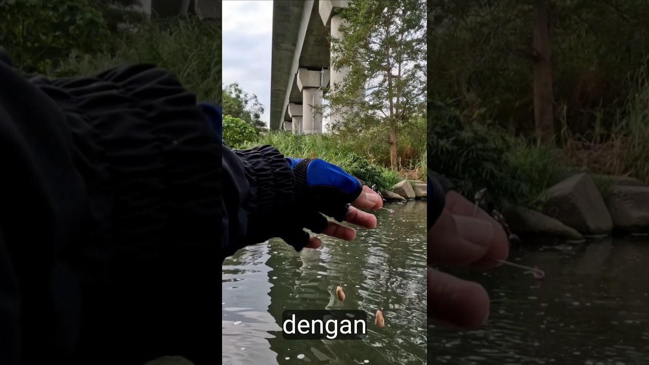 Essen favorite #fishing #microfhising #angler #tegekmentul #mancing