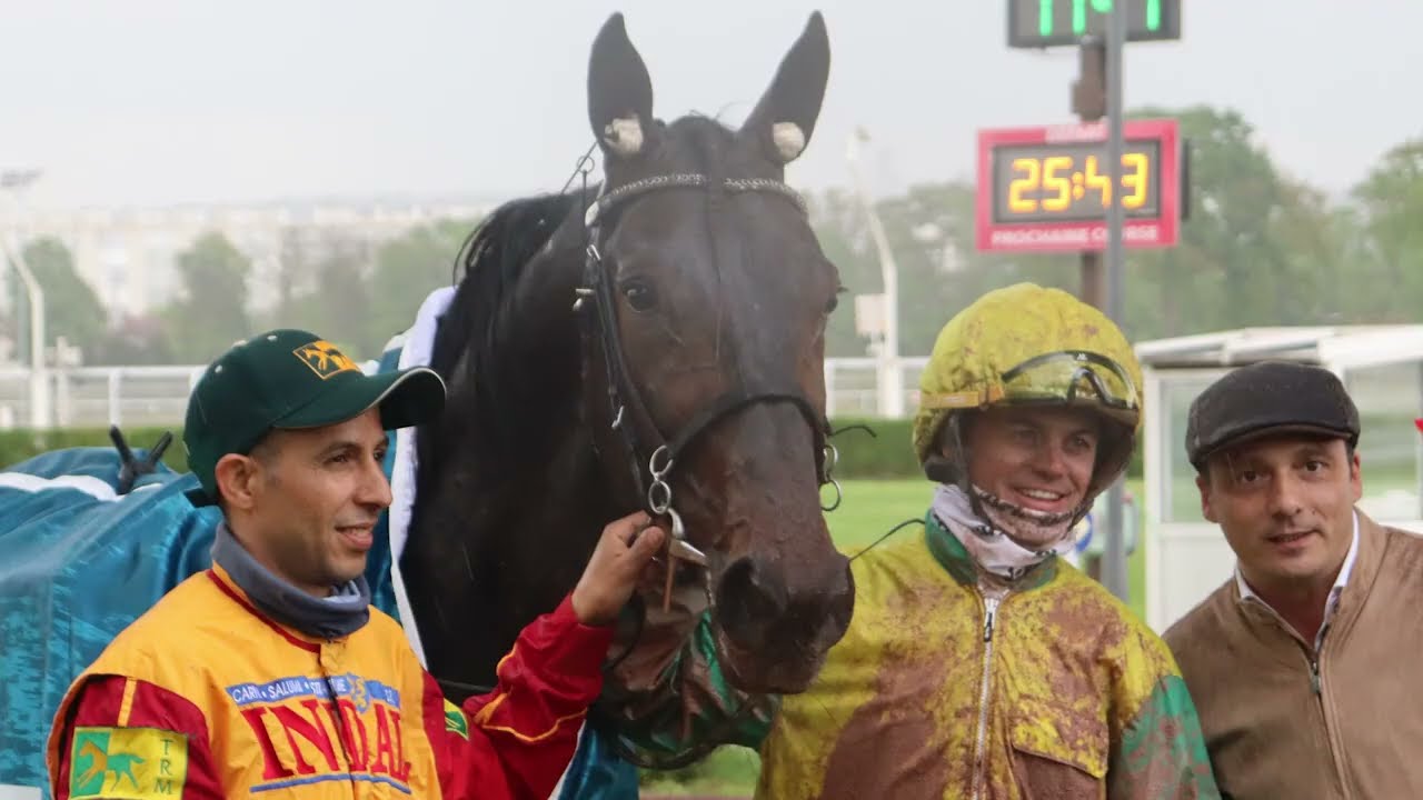 Un après-midi avec VIVID WISE AS (Matthieu Abrivard) pendant le Prix de l'Atlantique à Engien