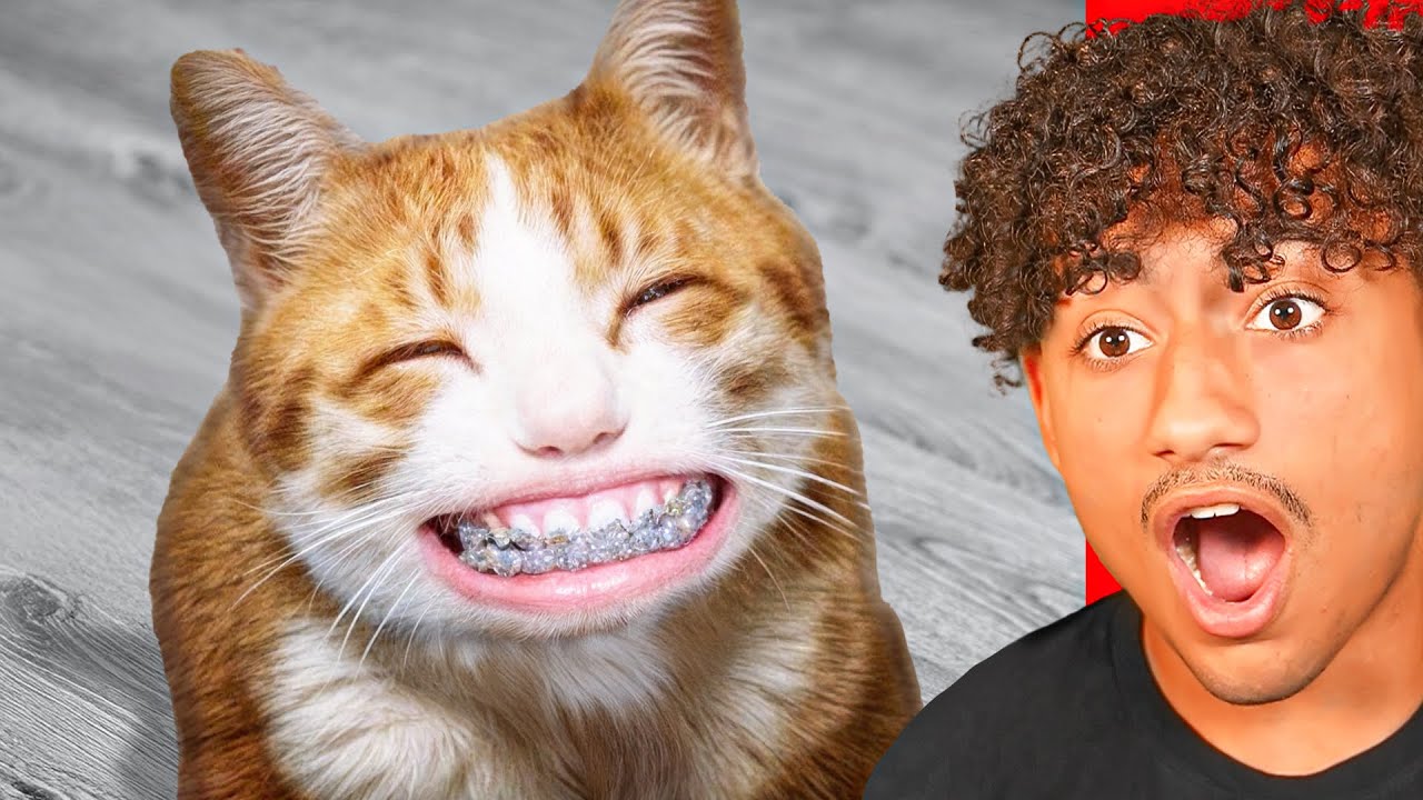 Weird Things You Have Never Seen Before