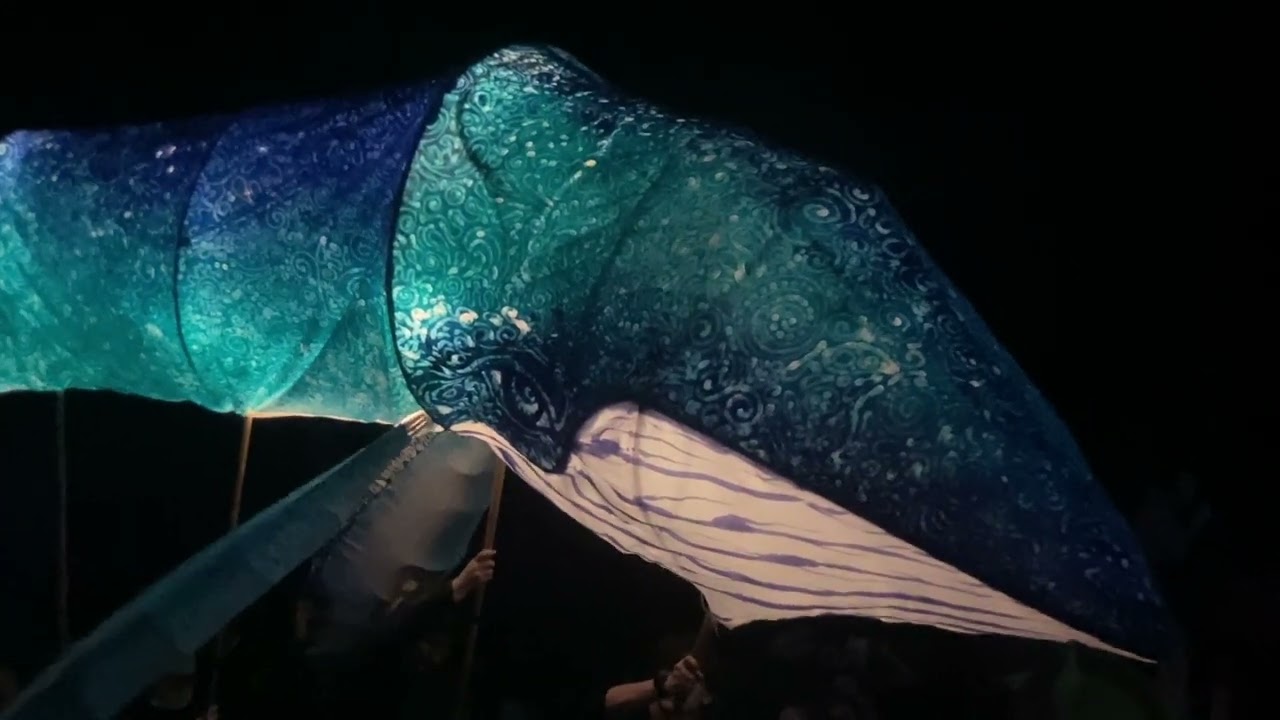 Paperhand puppet show 2025 ￼, Chapel Hill, North Carolina