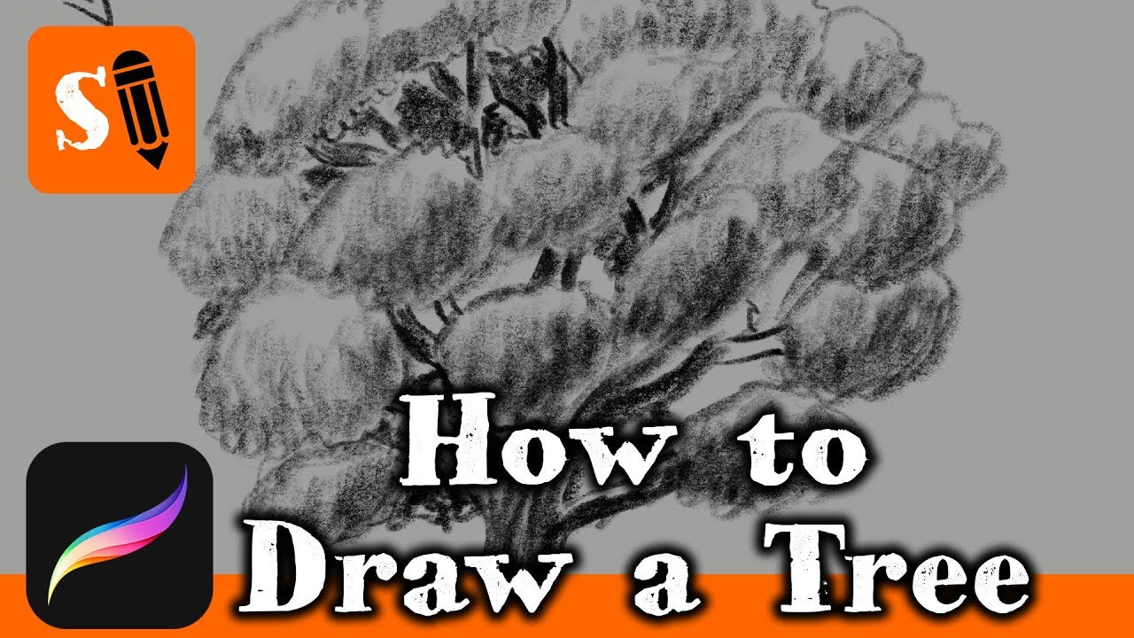 How to Draw a Tree  with Apple Pencil on iPad Pro