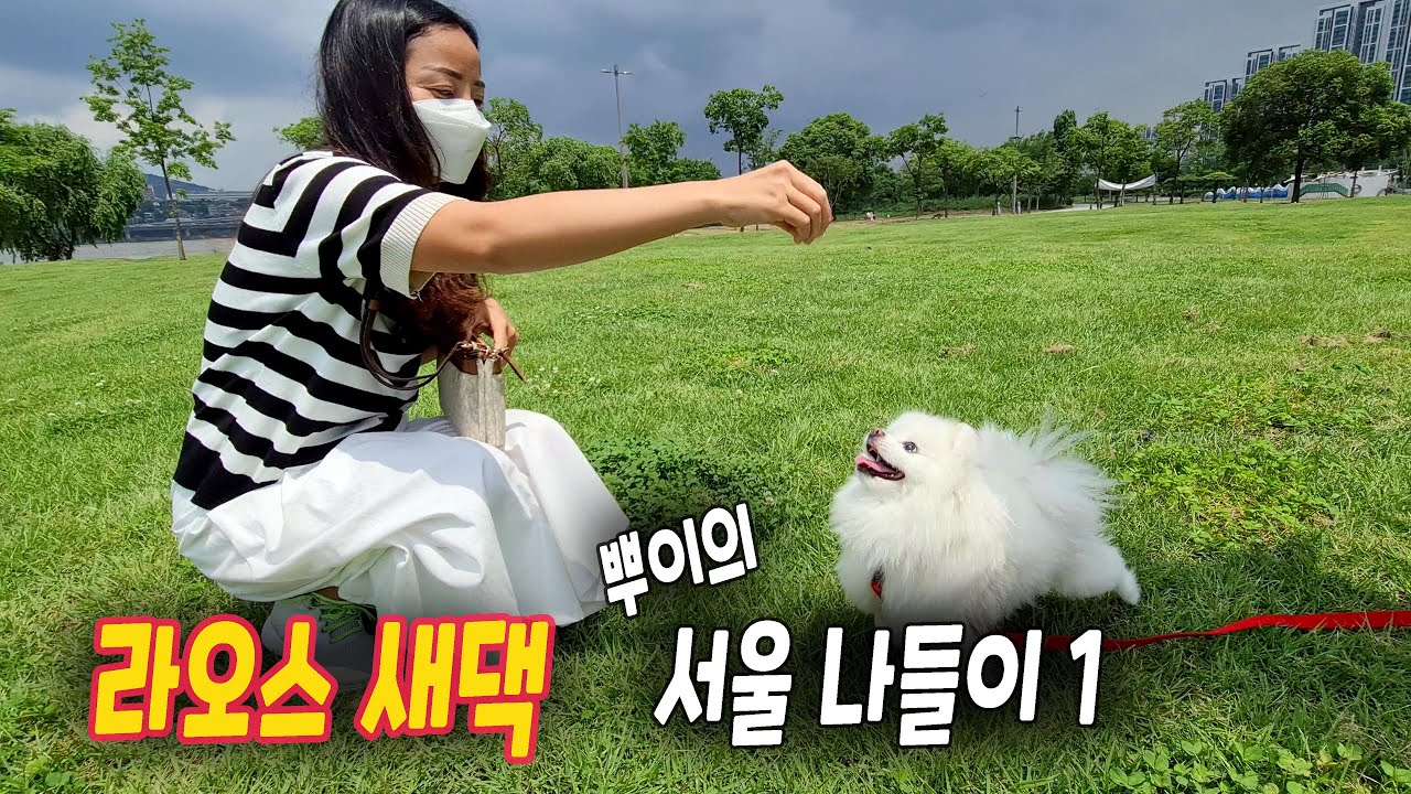 ep268  라오스 새댁 뿌이의 서울 나들이 1 | 입원 당시 모습 살짝 포함