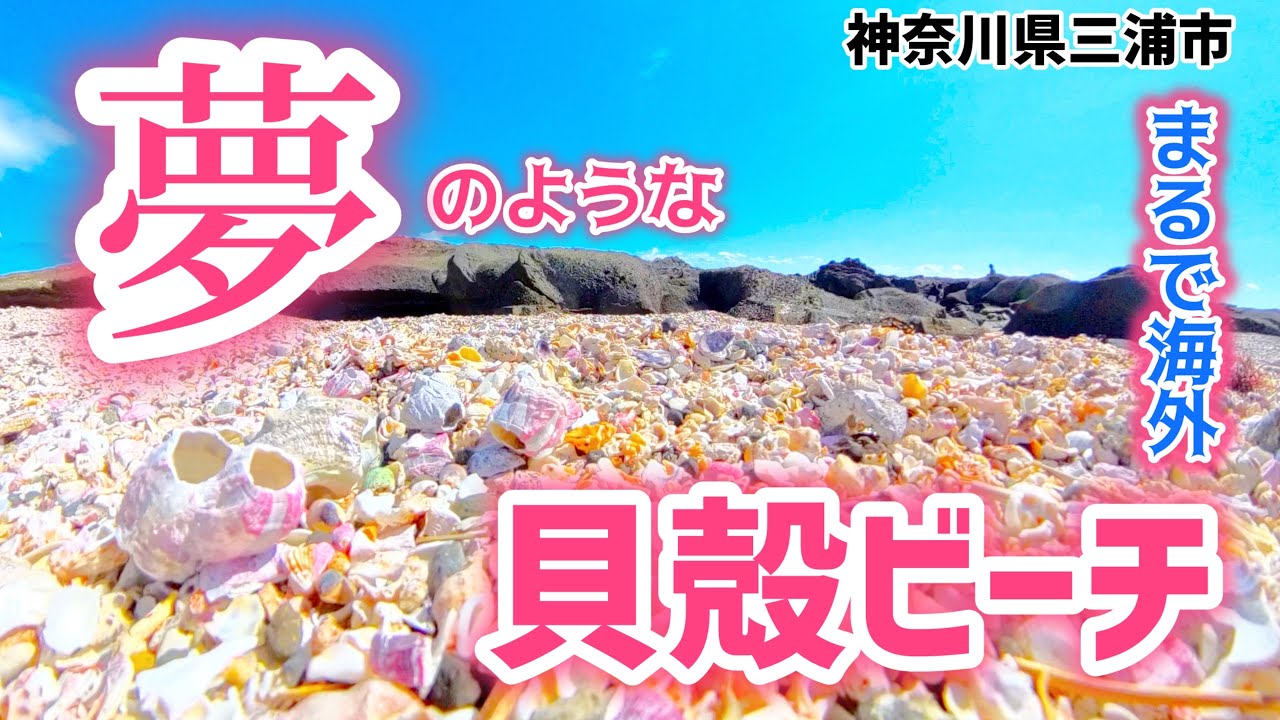 【神奈川県】皆知らない貝殻だらけのビーチ