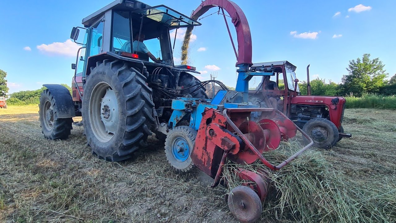 Silaza 2021god.Siliranje Psenice ( Sjenaza ) Massey Ferguson 3095 & Mengele SH20. Pun Gass!!!