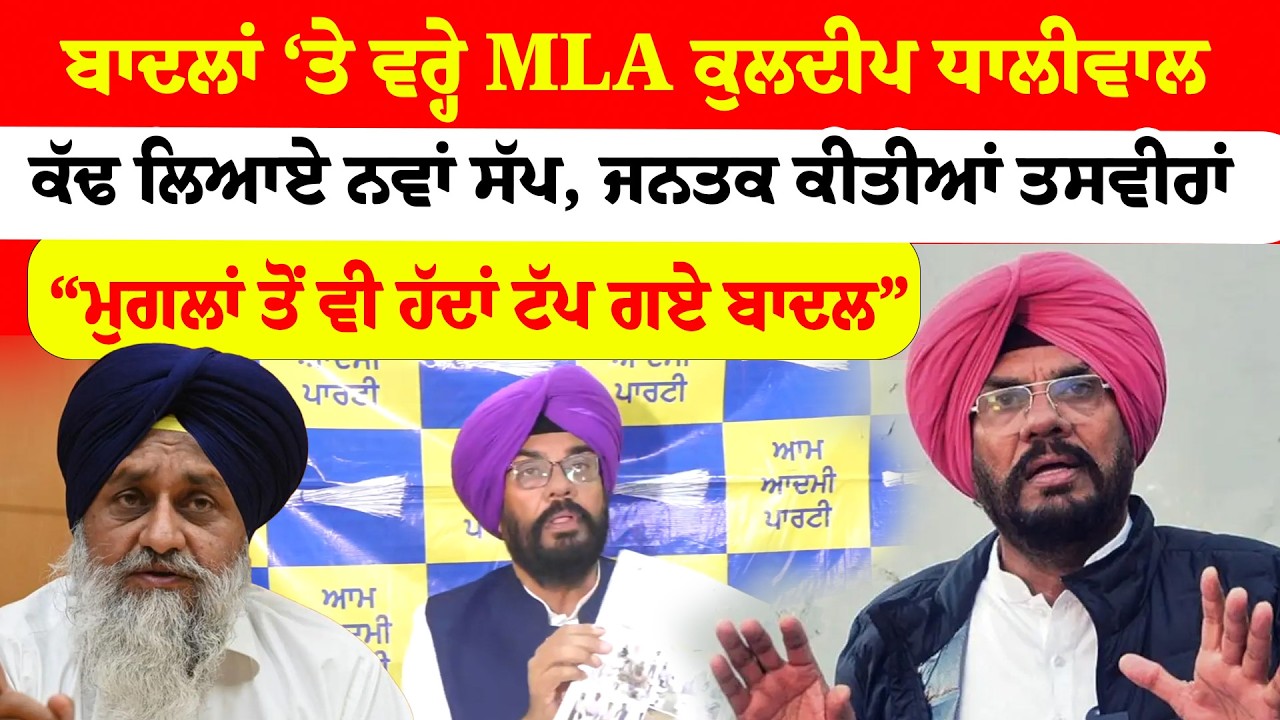 ਬਾਦਲਾਂ ‘ਤੇ ਵਰ੍ਹੇ MLA Kuldeep Dhaliwal ਕੱਢ ਲਿਆਏ ਨਵਾਂ ਸੱਪ, ਜਨਤਕ ਕੀਤੀਆਂ ਤਸਵੀਰਾਂ | News Only World Wide