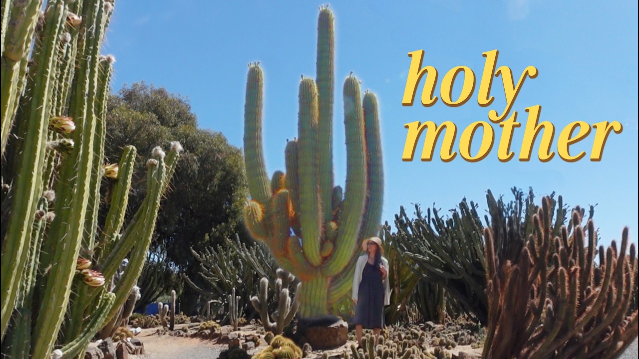 🌵 Road Tripping to Two EPIC Cactus Gardens