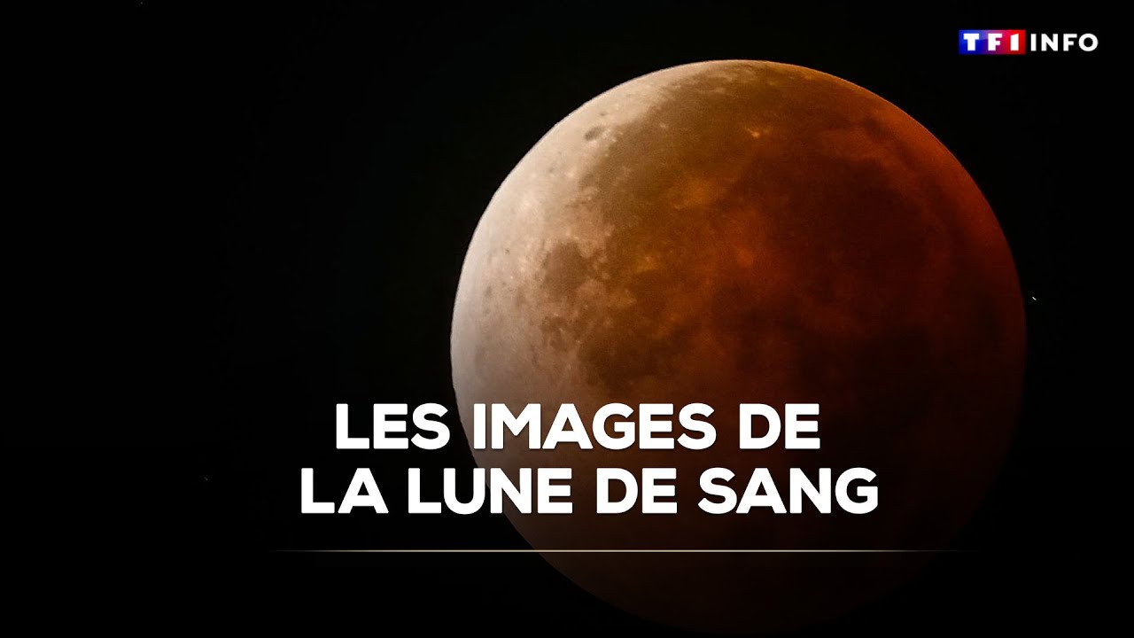 Les images de la lune de sang｜TF1 INFO