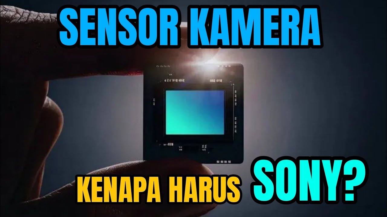 Why Do Almost All Cameras Use Sony Sensors? Here's Why‼️