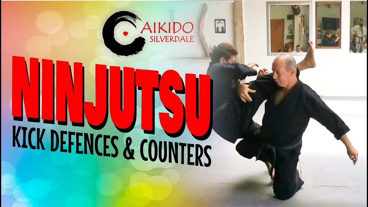 NINJUTSU | BASIC KICK DEFENCES & COUNTER TECHNIQUES