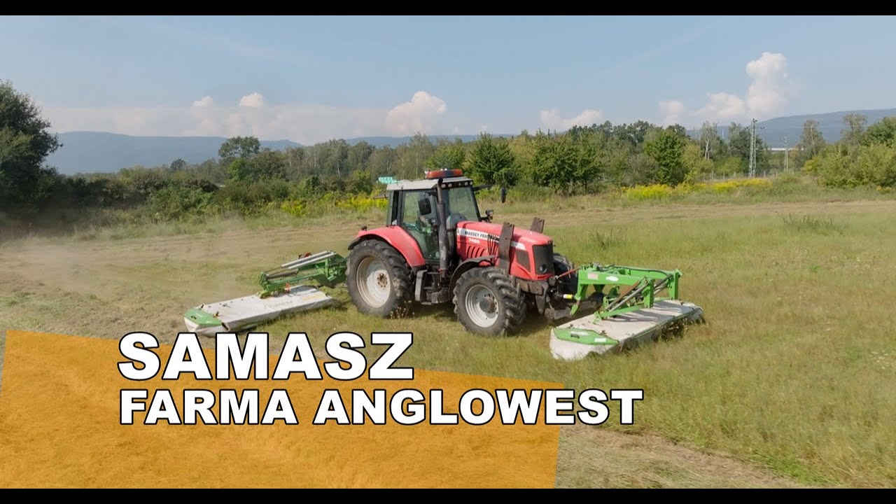 Stroje SaMASZ na farmě AngloWest pomohly zvýšit kvalitu sklizně pícnin