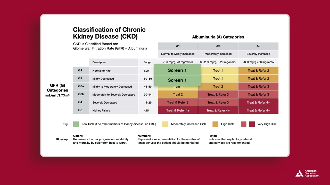 Kidney Disease Chart