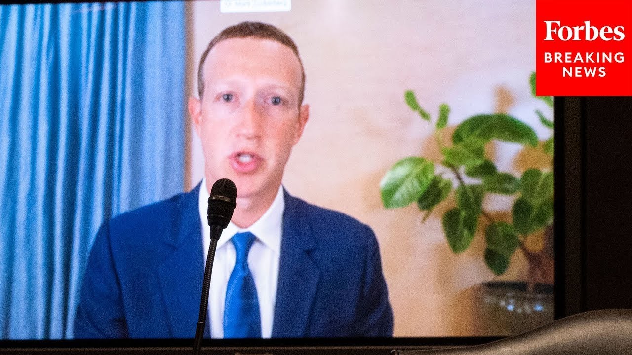 Democratic lawmaker snaps at Mark Zuckerberg during hearing: 