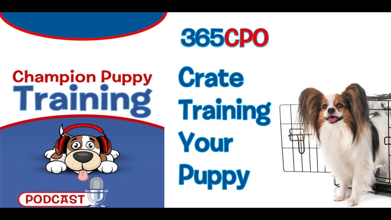 Don't pay the puppy tax!