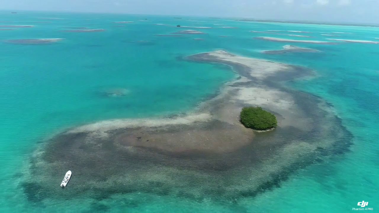 fishing los roques venezuela