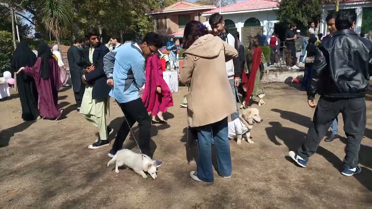 Pets 🐕🐶 Show In University 🤩💃🏿 Bohat Enjoy Keyaa Bohat Crowd Taa 😱😱 Sara Din Pagal Hogayee 😱😱