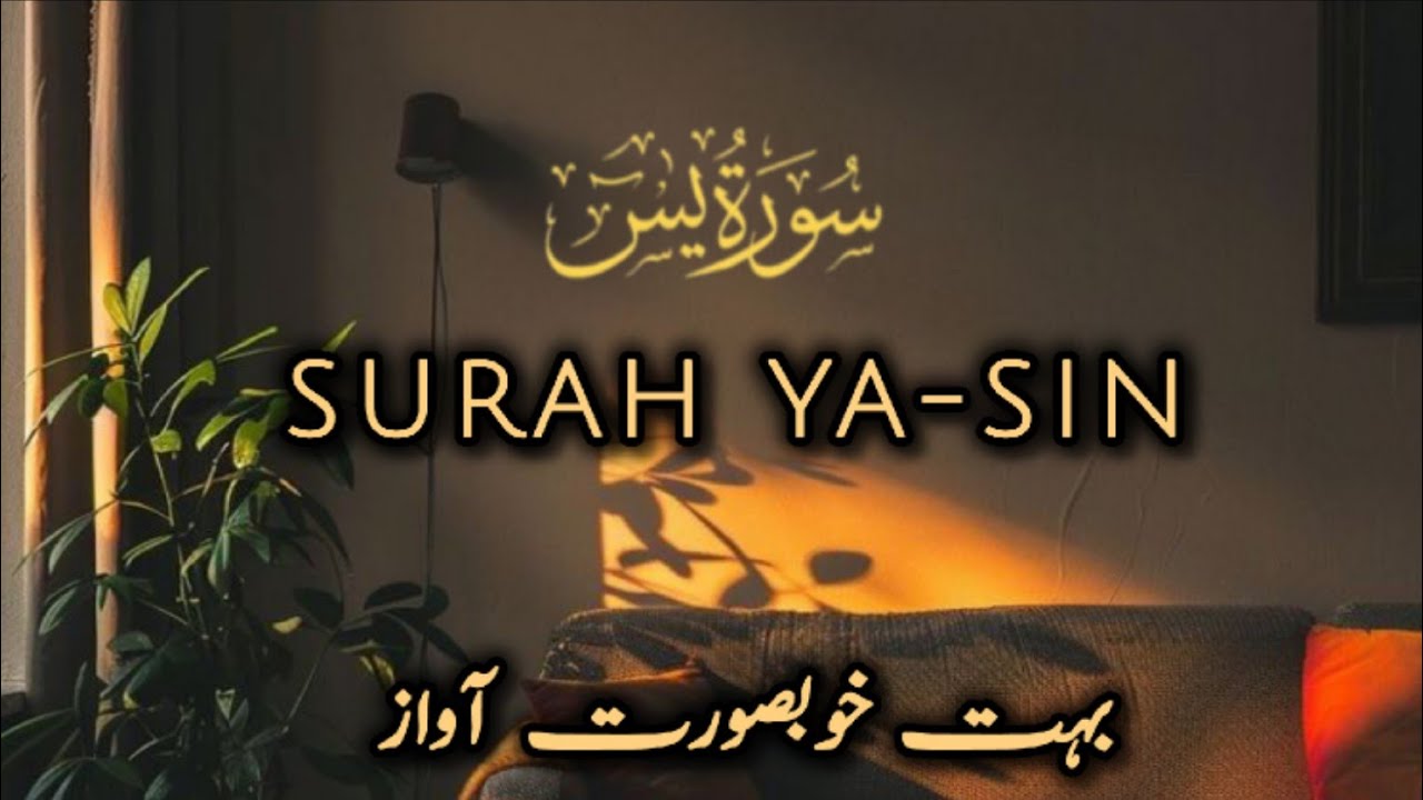 Surah Yasin | Quran Ka Dil | Beautiful Quran Recitation #surahyaseen #beautiful #quran 
