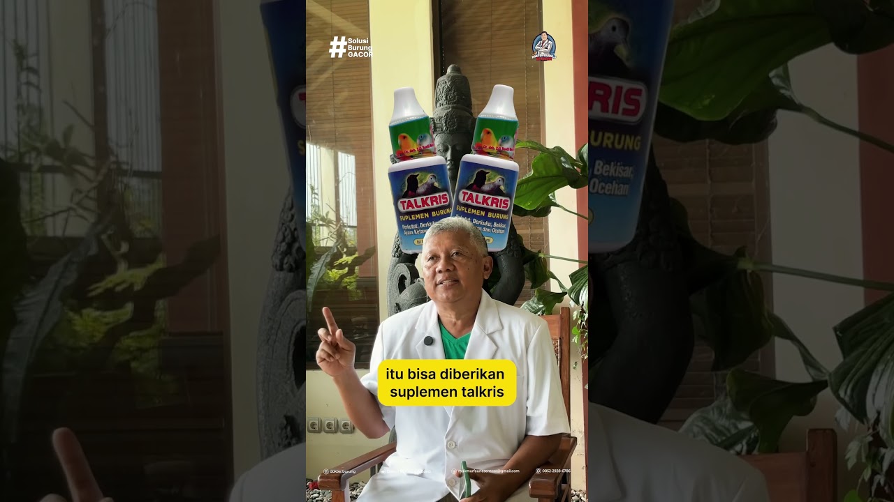 TIPS SETTING KENARI AGAR KONSLET SAAT LOMBA #dokterburung #kenarimania #kenari #kenarijuara