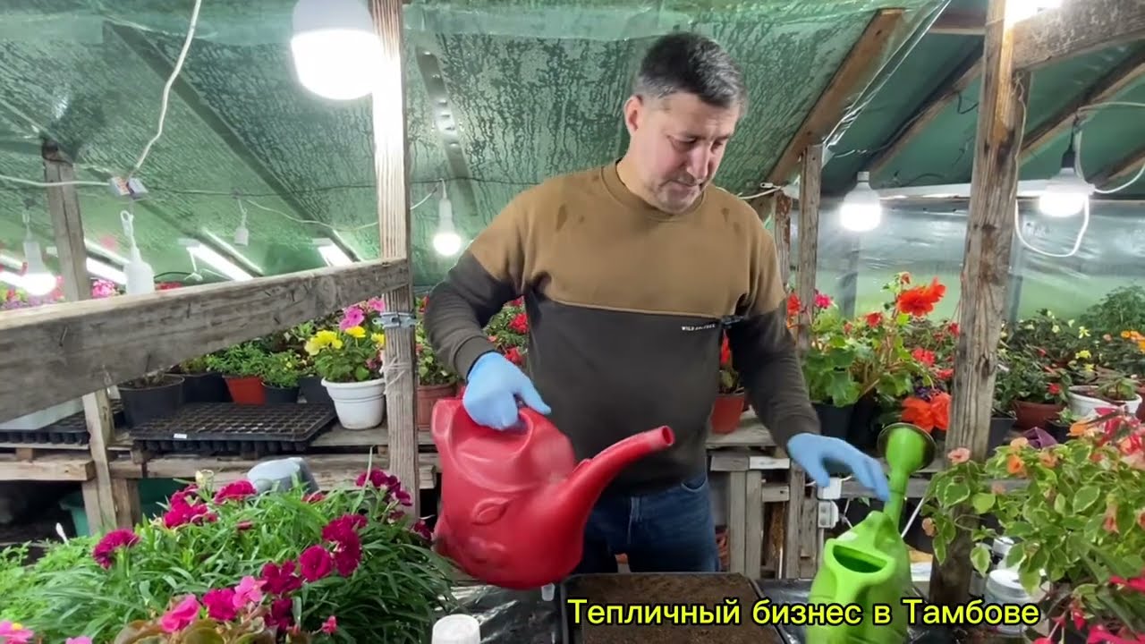 Основные принципы черенкования вегетативных цветов#цветы #петуния #garden 