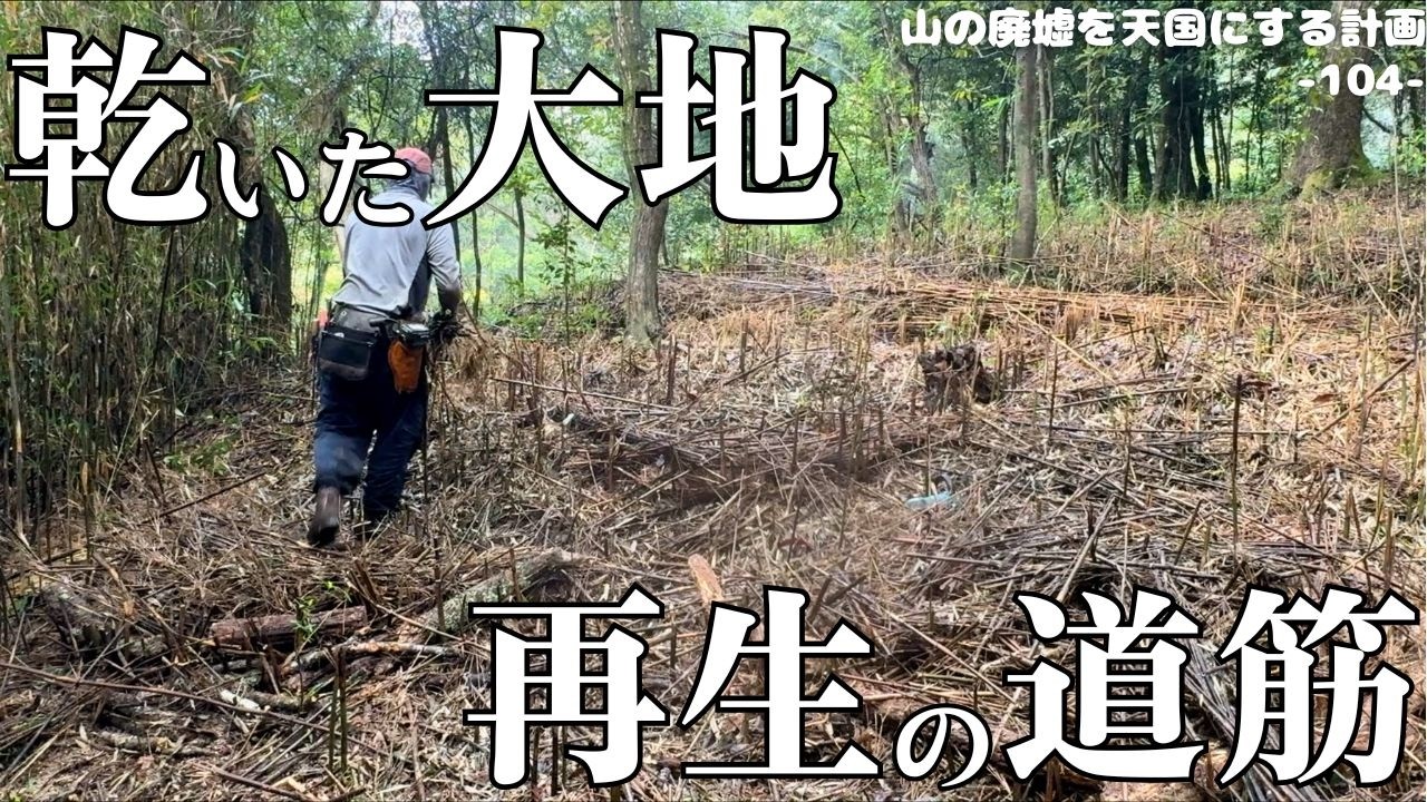 【森林再生】放置笹藪伐採後、再生の道筋。乾ききった荒地に、植樹の土台を作り、輪郭をデザイン。