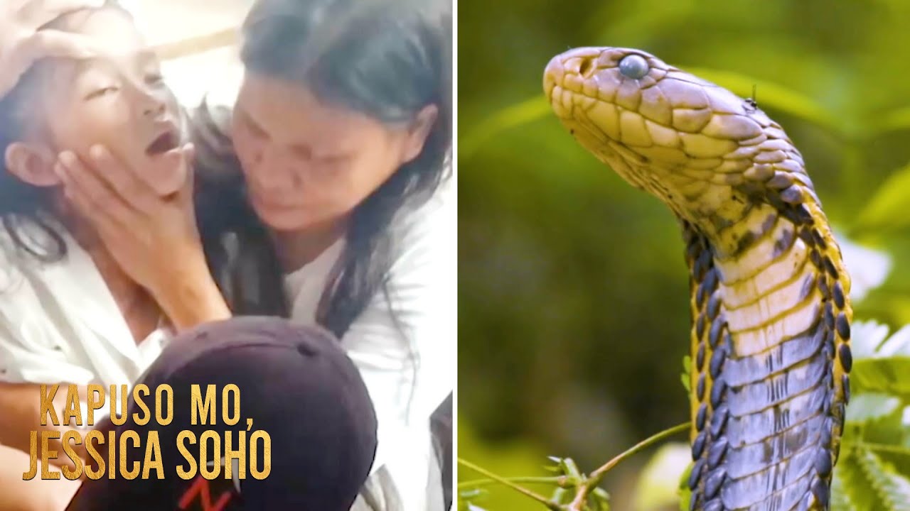 8-anyos na bata, natuklaw ng makamandag na cobra, ipinag-pray over?! | Kapuso Mo, Jessica Soho