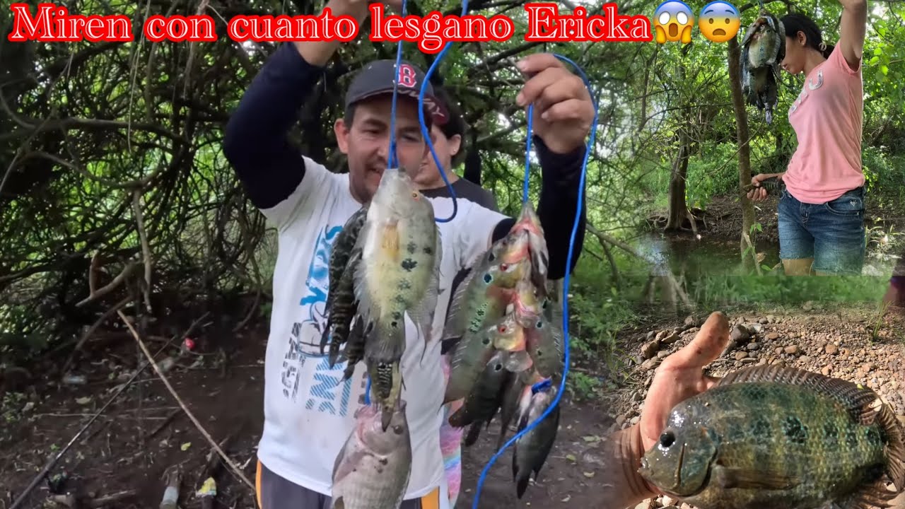 ERICKA LE GANA EN LA ANSUELIADA A MODESTO Y A WILLIAM Y A JOEL😱😱