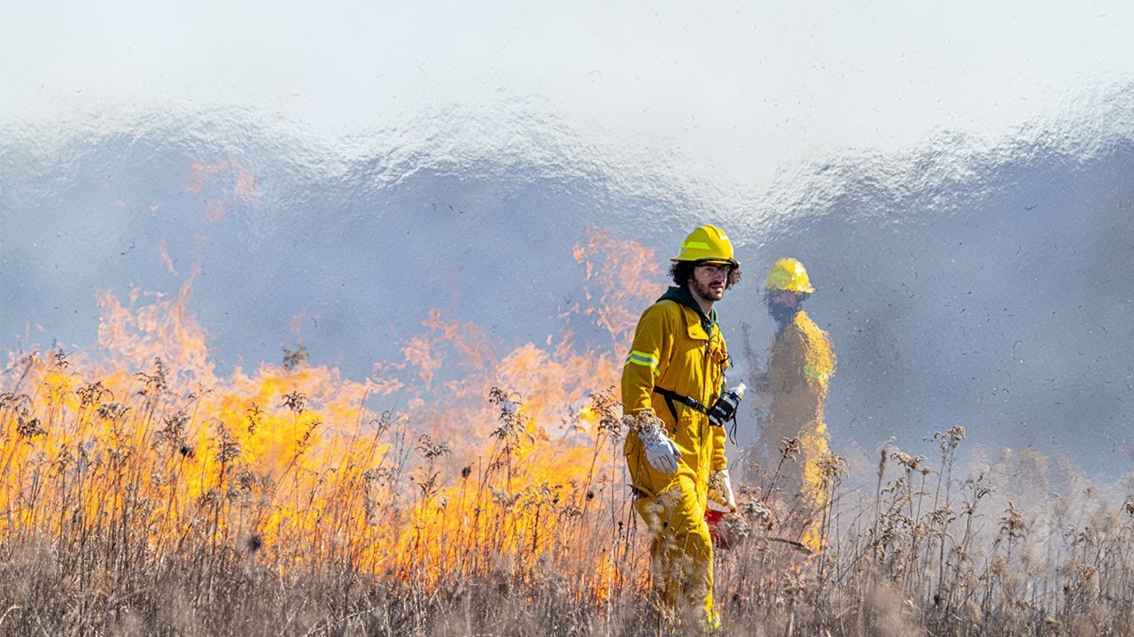 Science Series: Fire for Flora: Controlled Burns in Meadow Management