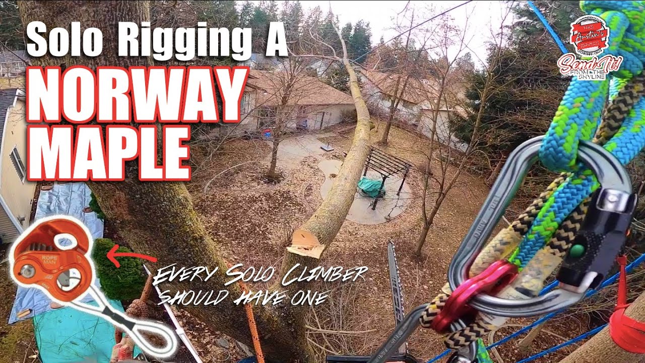 Cutting Down A Norway Maple Solo - The Best Piece of Solo Rigging Equipment