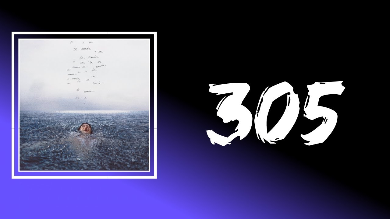 Shawn Mendes - 305 (Lyrics)