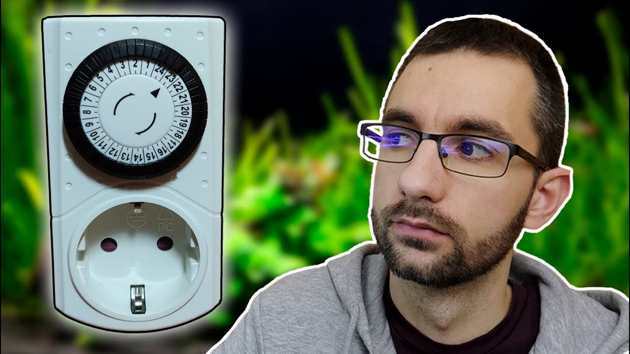 Qué es y cómo programar un temporizador para acuarios 🕘 + TODAS sus ventajas ✅