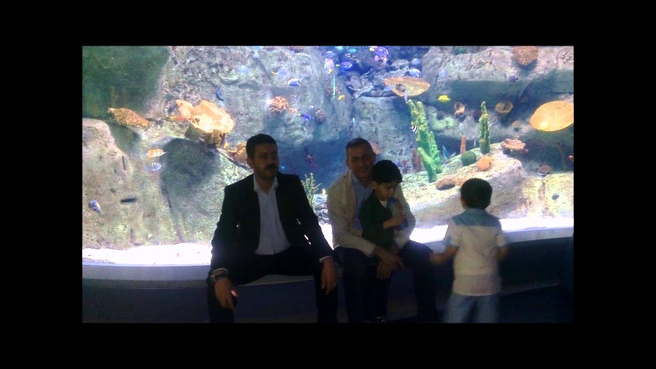 levent öten iç benim için