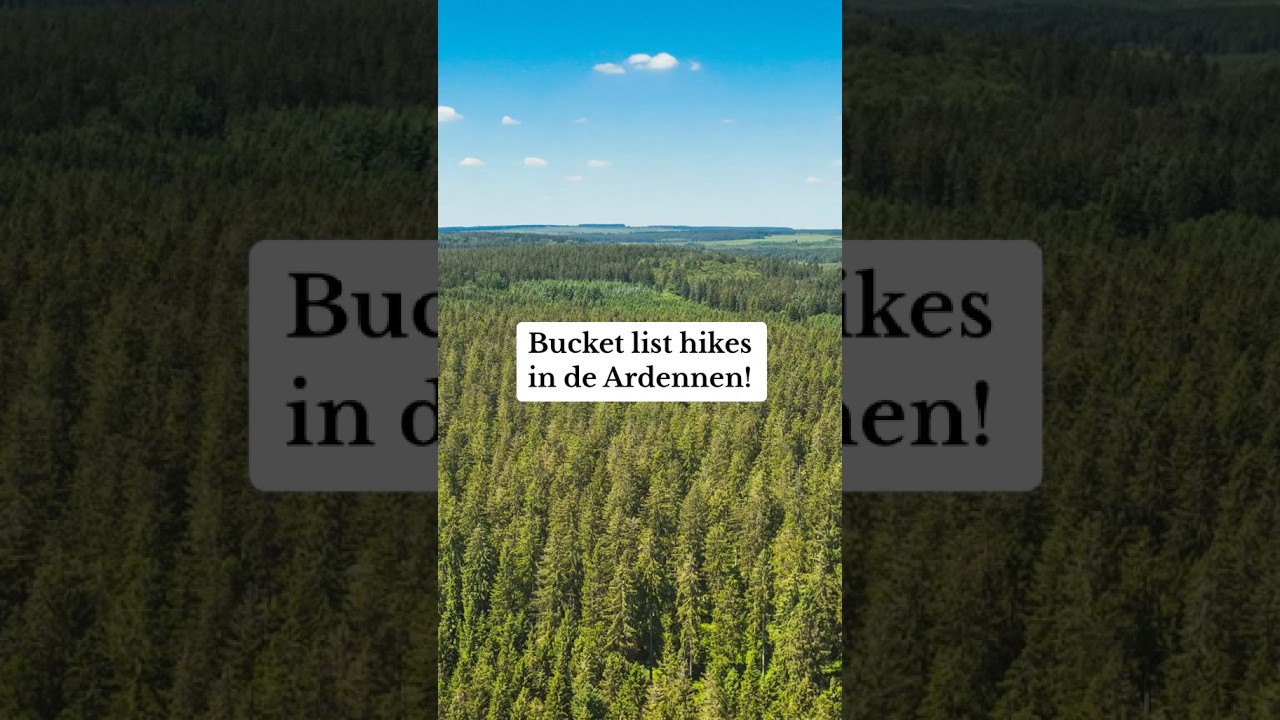 De Ardennen? Alright! 🥾🤩 #ardennen #belgie #hike #discoverbelgium #trails #outdoor #natuur