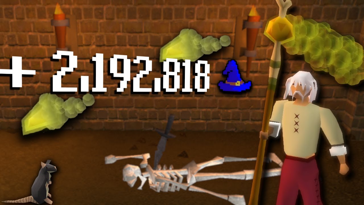 It Took 9 Months To Start TRAINING Magic... [Collection Chunk Ep.15]