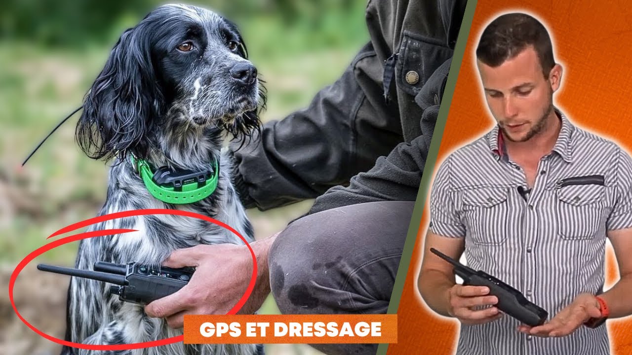 GARMIN PRO 550+ / APPAREIL DE DRESSAGE ET DE SUIVI POUR CHIENS DE CHASSE / PRÉSENTATION FR